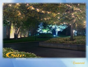 SITE SHOW email copy _Page_24