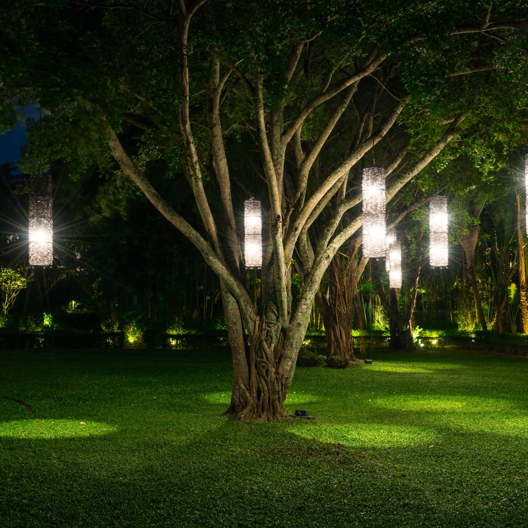tree with lamp lighting tree with lamp lighting in garden